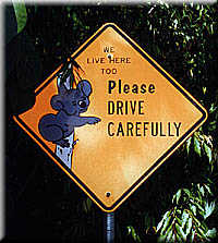 Watch for Koalas sign